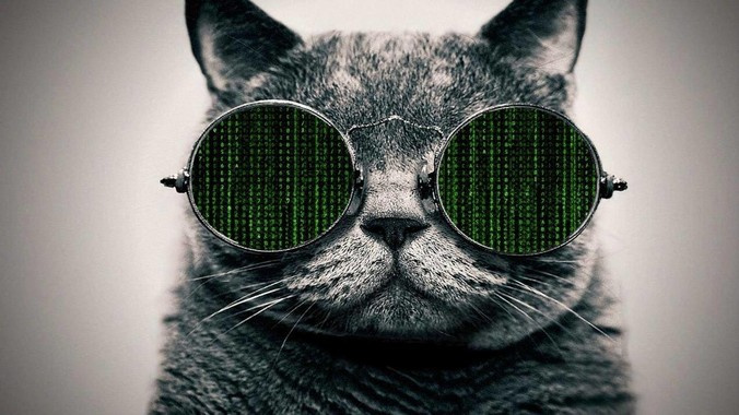 Go 语言几乎打了所有 Programming Language 学者的脸，然而它却成功了，为什么？